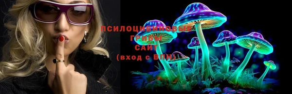 прущий лед Медногорск