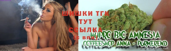 дживик Медвежьегорск