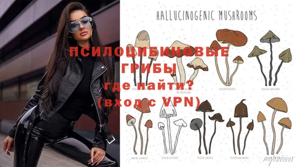 дживик Медвежьегорск