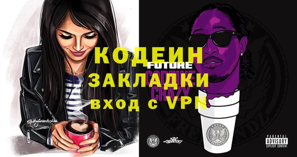 дживик Медвежьегорск