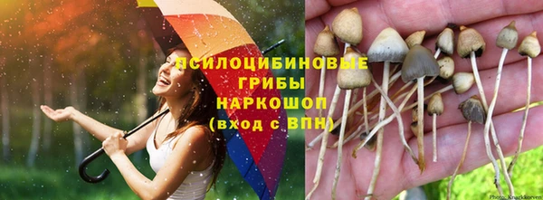 дживик Медвежьегорск